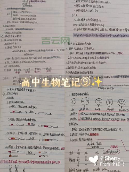 搞懂preferencescreen用法，告别手写繁琐设置项。