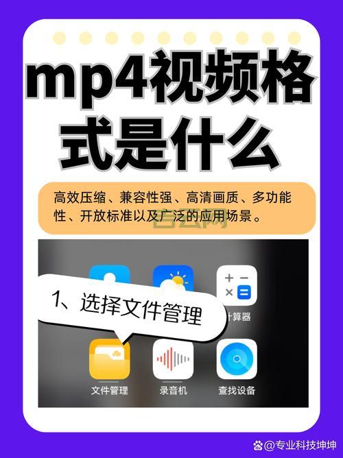 视频服务器的作用有哪些？一文带你快速入门