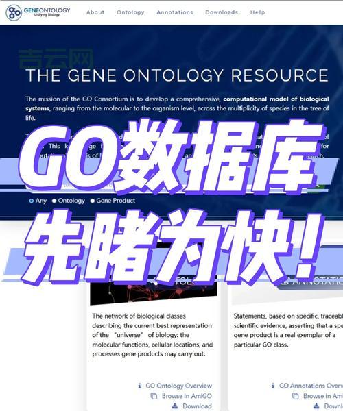 goagent配置参数看不懂？这份超详细说明让你彻底明白！