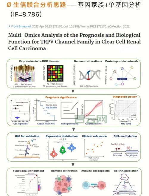 什么是DATAROLE？新手入门必看的数据角色指南