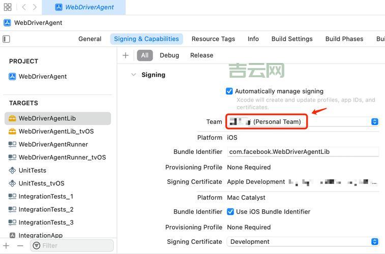 Mocha Java 测试框架怎么配置？手把手教你快速搭建测试环境。