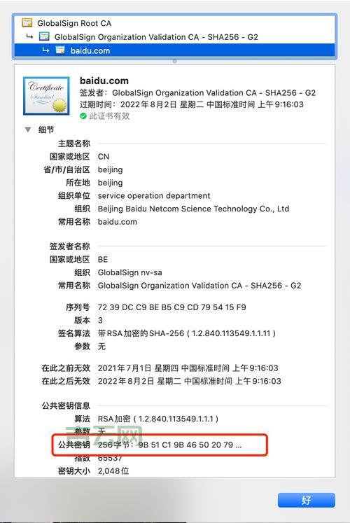 在线网站代理是干嘛的？白话告诉你它的原理和用途！