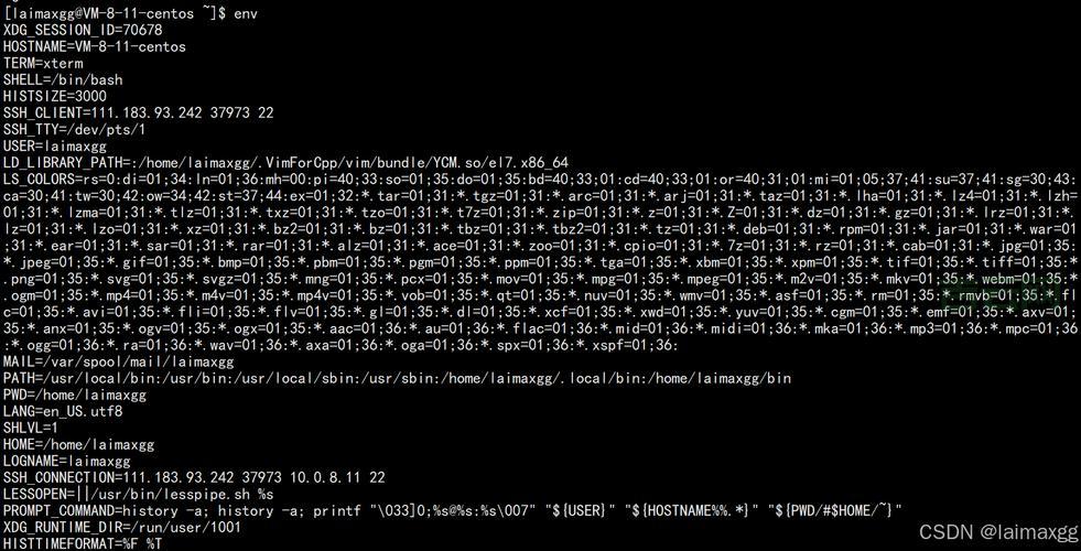 SYSTEM.ENVIRONMENT是什么？快速了解系统环境变量的作用！