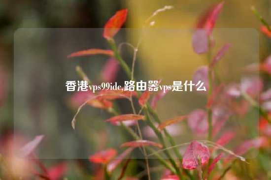香港vps99idc,路由器vps是什么