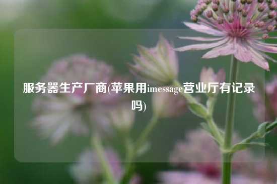 服务器生产厂商(苹果用imessage营业厅有记录吗)