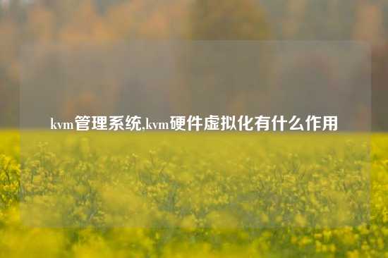 kvm管理系统,kvm硬件虚拟化有什么作用