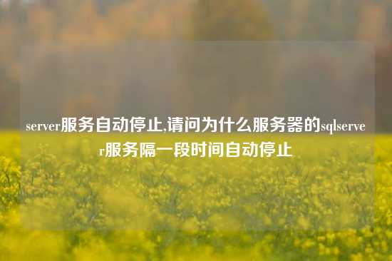 server服务自动停止,请问为什么服务器的sqlserver服务隔一段时间自动停止
