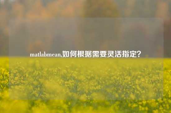 matlabmean,如何根据需要灵活指定？