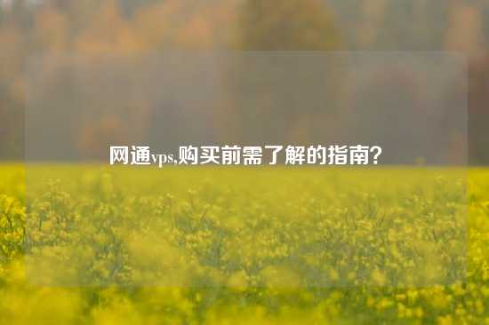 网通vps,购买前需了解的指南？