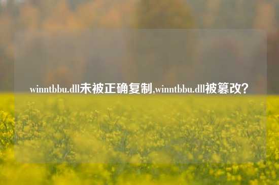 winntbbu.dll未被正确复制,winntbbu.dll被篡改？