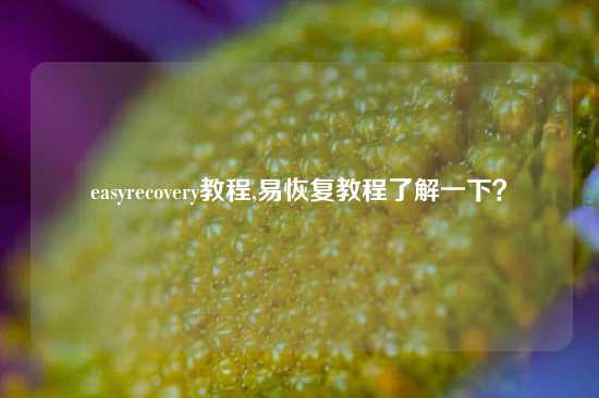 easyrecovery教程,易恢复教程了解一下？