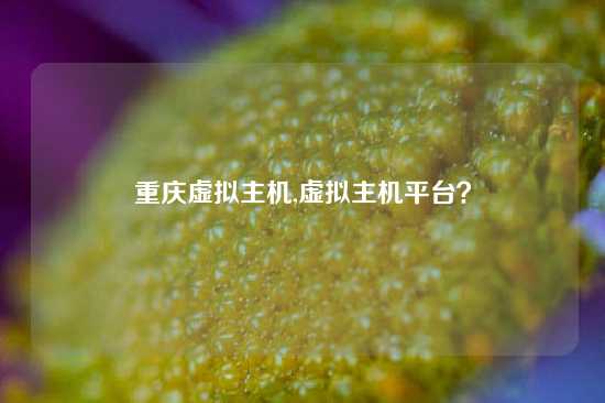 重庆虚拟主机,虚拟主机平台？