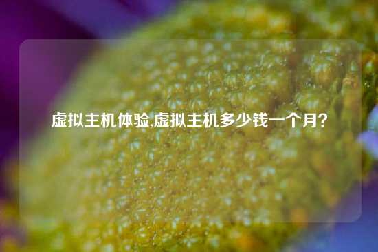 虚拟主机体验,虚拟主机多少钱一个月？