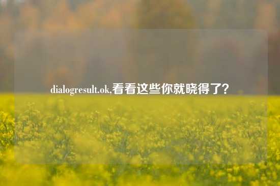 dialogresult.ok,看看这些你就晓得了？