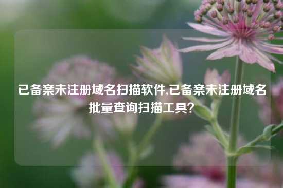 已备案未注册域名扫描软件,已备案未注册域名批量查询扫描工具？