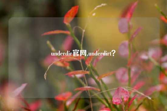 underdir官网,underdirt？