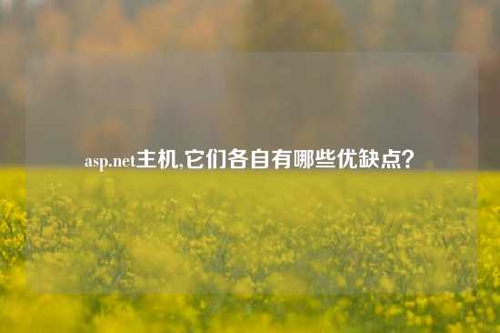 asp.net主机,它们各自有哪些优缺点？