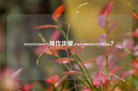 easyrecovery操作步骤,easyrecoverychina？