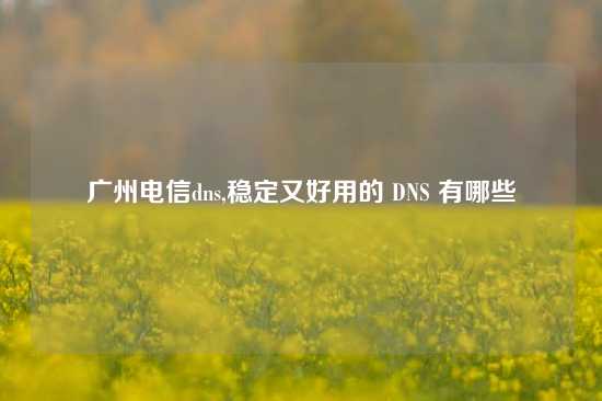 广州电信dns,稳定又好用的 DNS 有哪些