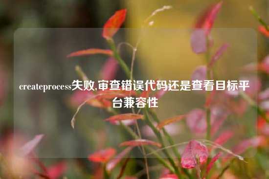 createprocess失败,审查错误代码还是查看目标平台兼容性