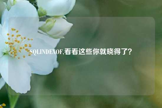 SQLINDEXOF,看看这些你就晓得了？