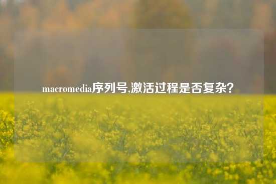 macromedia序列号,激活过程是否复杂？