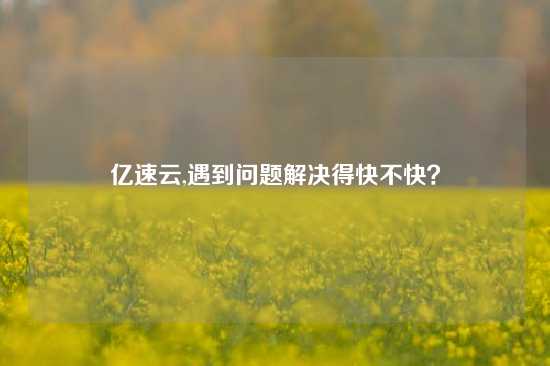 亿速云,遇到问题解决得快不快？
