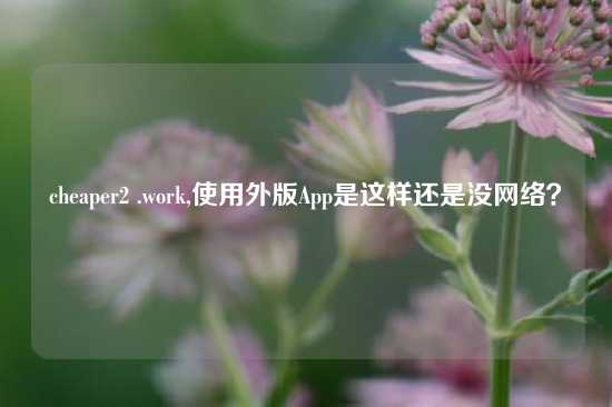 cheaper2 .work,使用外版App是这样还是没网络？