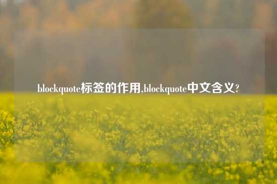 blockquote标签的作用,blockquote中文含义?