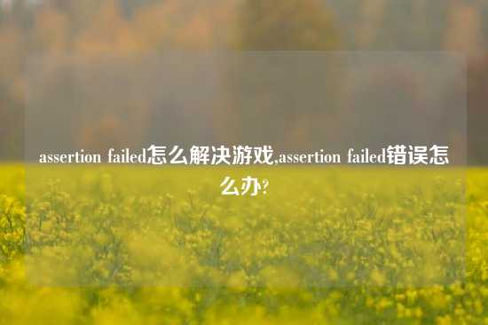 assertion failed怎么解决游戏,assertion failed错误怎么办?
