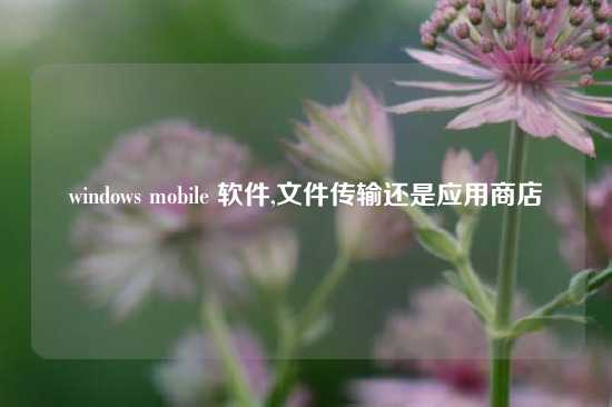 windows mobile 软件,文件传输还是应用商店