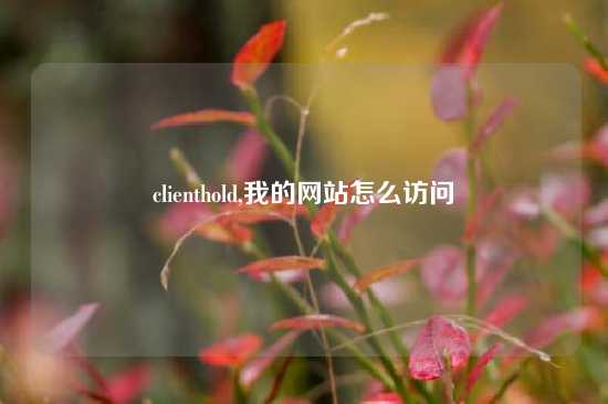 clienthold,我的网站怎么访问