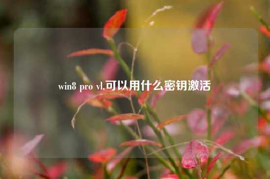win8 pro vl,可以用什么密钥激活