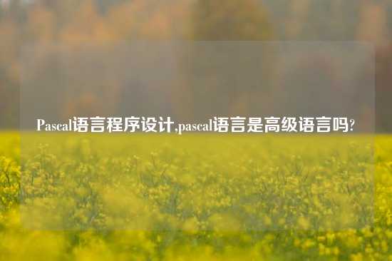 Pascal语言程序设计,pascal语言是高级语言吗?