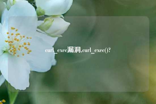 curl_exec漏洞,curl_exec()?