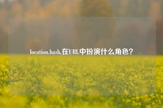 location.hash,在URL中扮演什么角色？