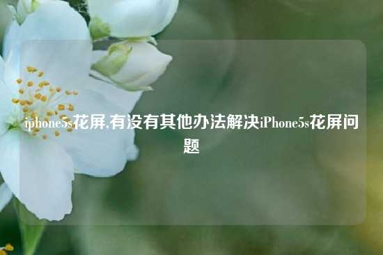 iphone5s花屏,有没有其他办法解决iPhone5s花屏问题