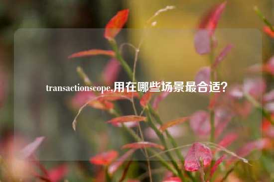 transactionscope,用在哪些场景最合适？