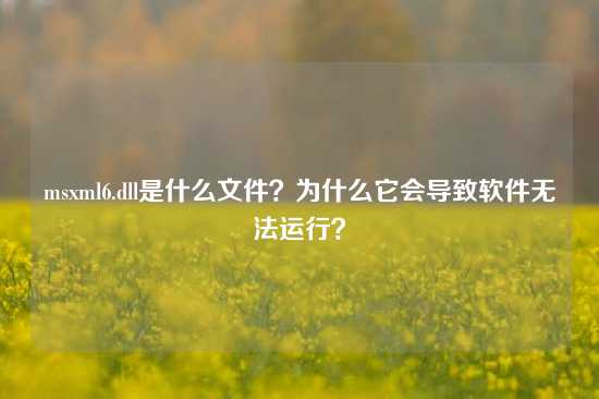 msxml6.dll是什么文件？为什么它会导致软件无法运行？