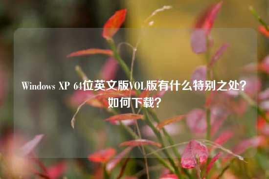Windows XP 64位英文版VOL版有什么特别之处？如何下载？
