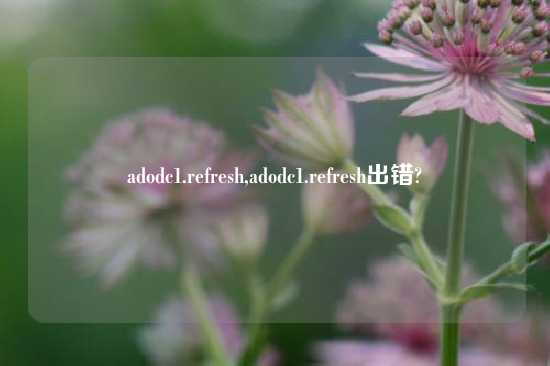 adodc1.refresh,adodc1.refresh出错?
