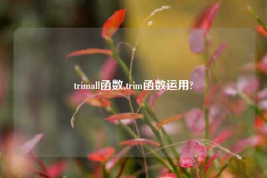 trimall函数,trim函数运用?