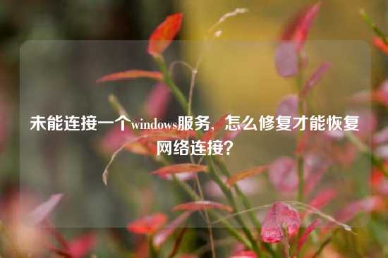 未能连接一个windows服务,  怎么修复才能恢复网络连接？