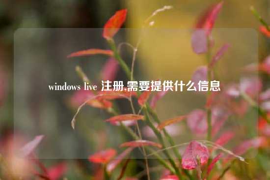 windows live 注册,需要提供什么信息
