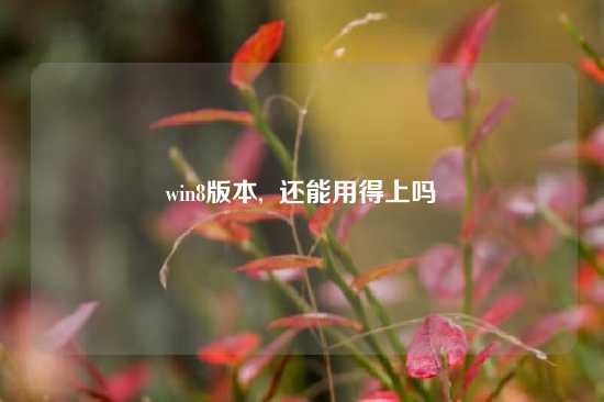win8版本,  还能用得上吗