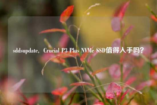 sddsupdate,  Crucial P3 Plus NVMe SSD值得入手吗？