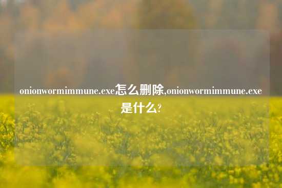 onionwormimmune.exe怎么删除,onionwormimmune.exe是什么?