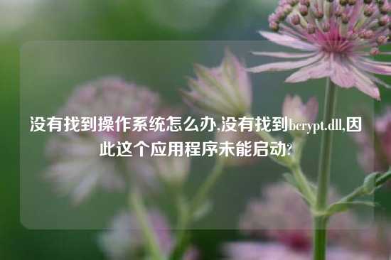 没有找到操作系统怎么办,没有找到bcrypt.dll,因此这个应用程序未能启动?