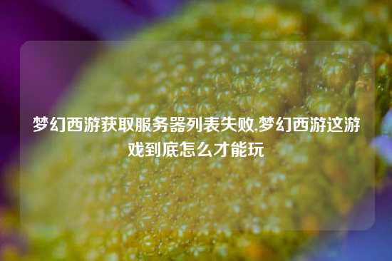 梦幻西游获取服务器列表失败,梦幻西游这游戏到底怎么才能玩