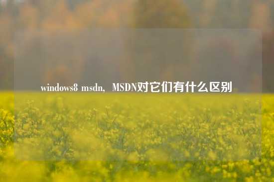 windows8 msdn,  MSDN对它们有什么区别